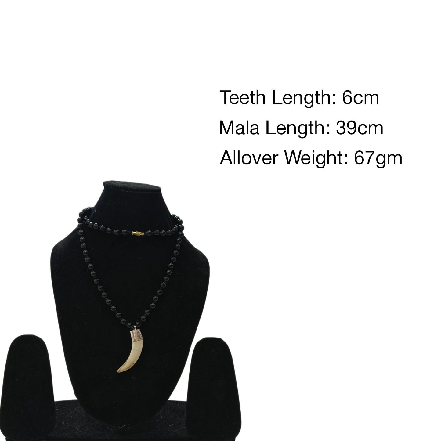 Shukar Dant Energized in Silver Locket | Lab Certified |