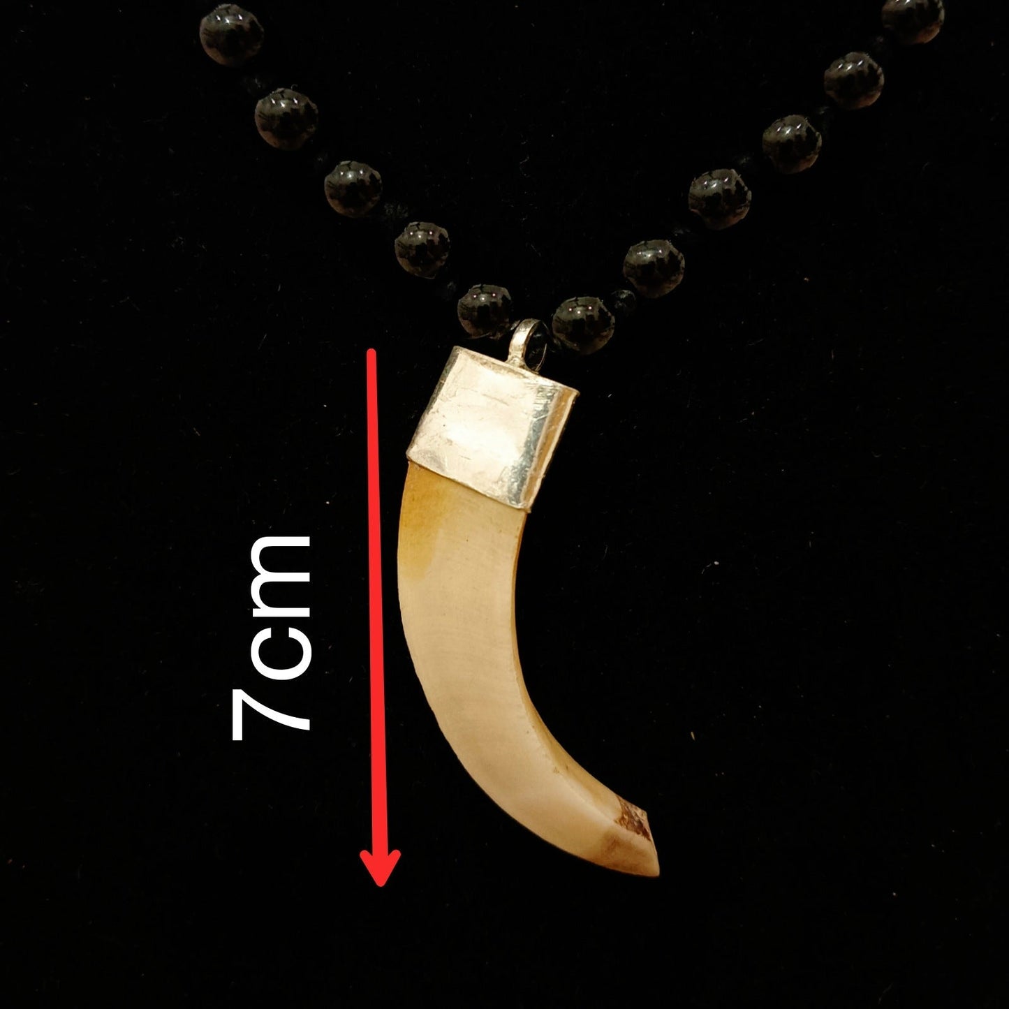 Shukar Dant Energized in Silver Locket | Lab Certified |