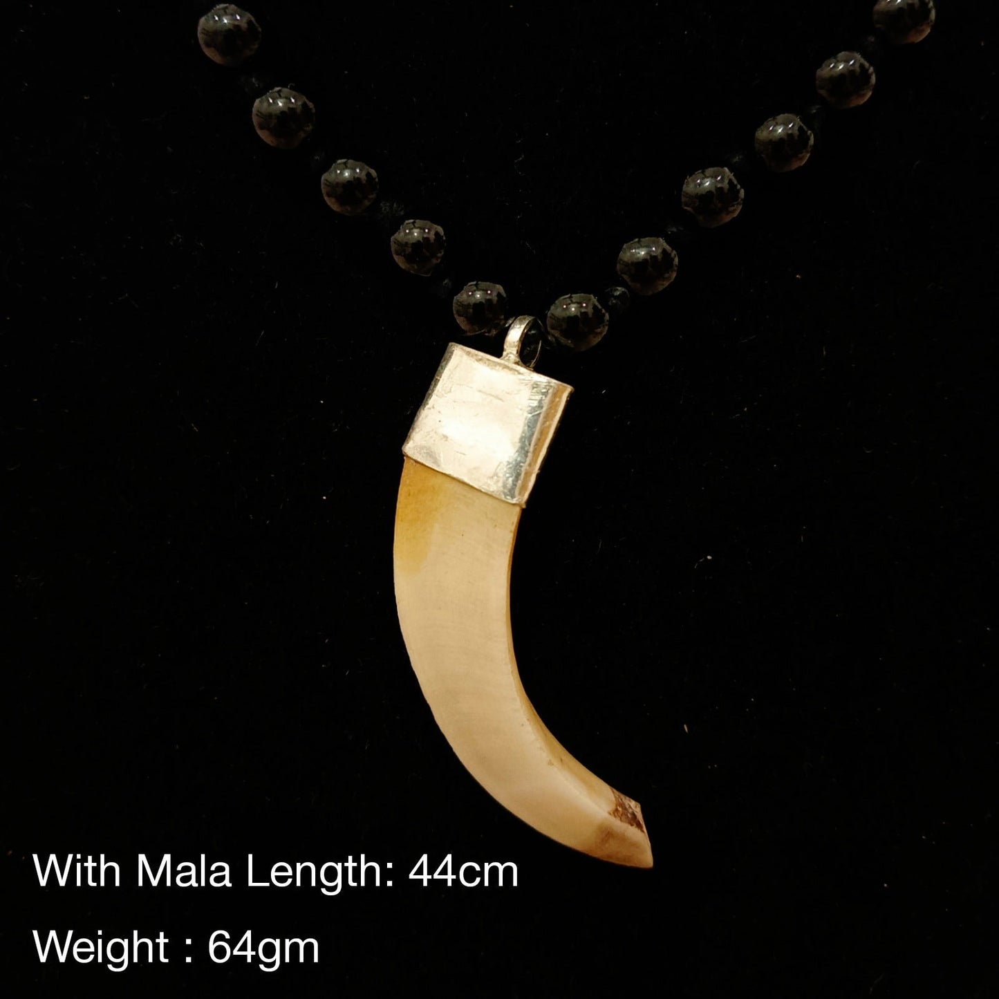 Shukar Dant Energized in Silver Locket | Lab Certified |