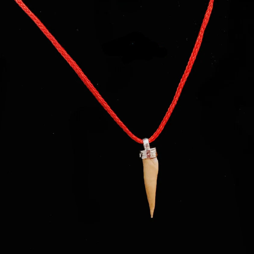 Shukar Dant Energized in Silver Locket | Lab Certified |
