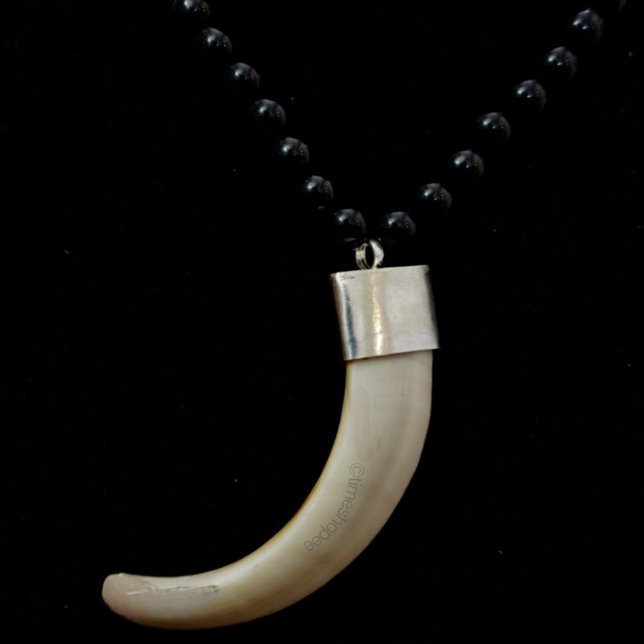 Shukar Dant Energized in Silver Locket | Lab Certified |