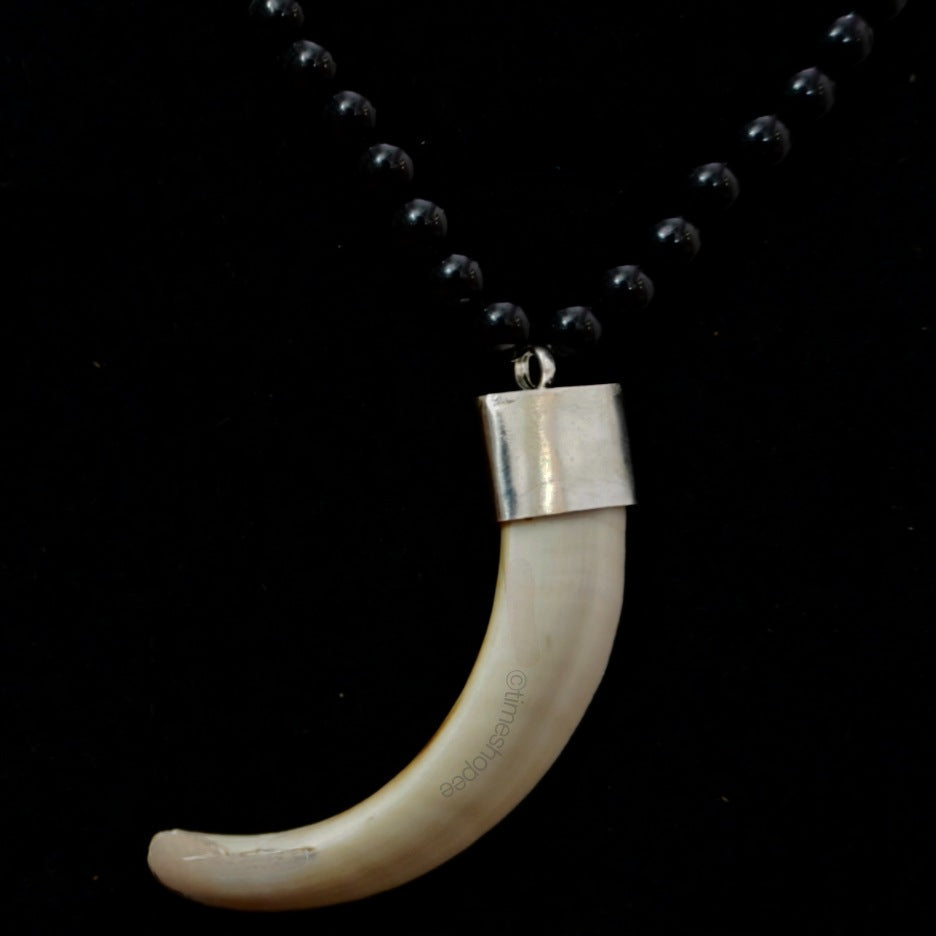 Shukar Dant Energized in Silver Locket | Lab Certified |