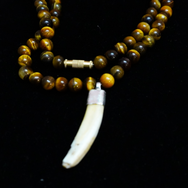 Shukar Dant Energized in Silver Locket | Lab Certified |