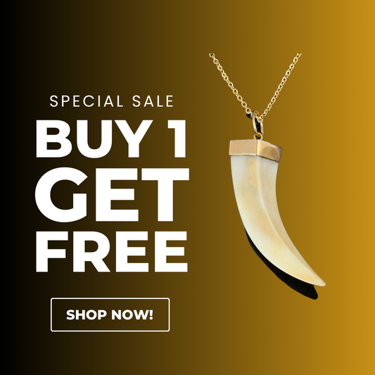 Buy 1 Get 1 Free (Only Prepaid Order)