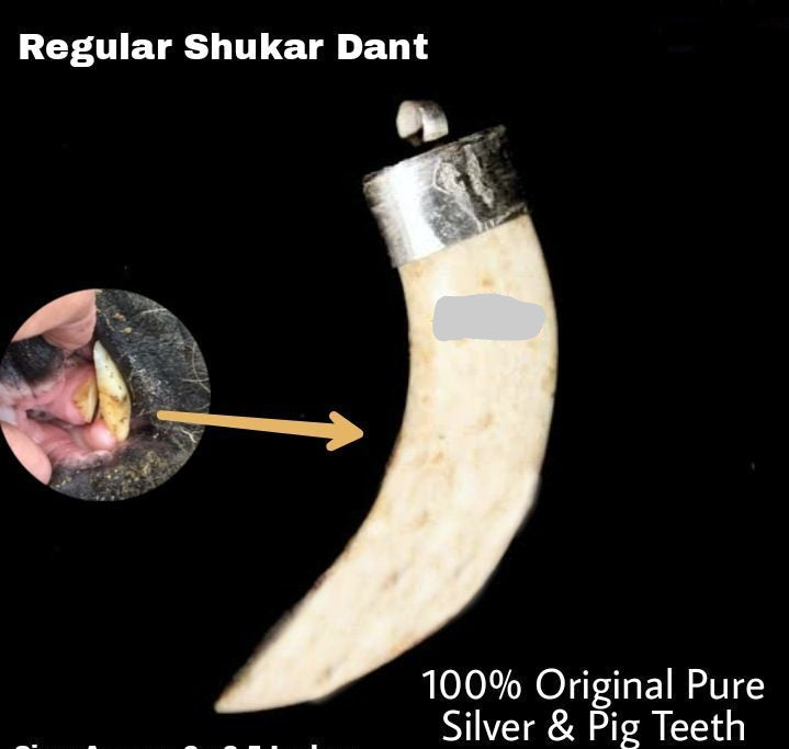 Shukar Dant Energized in Silver Locket | Lab Certified |