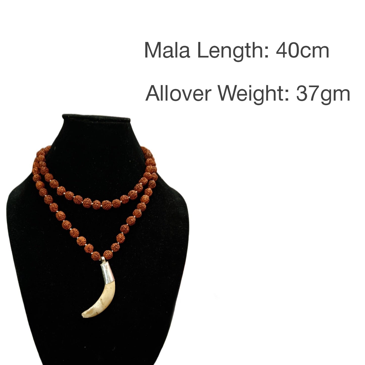 Shukar Dant Energized in Silver Locket | Lab Certified |
