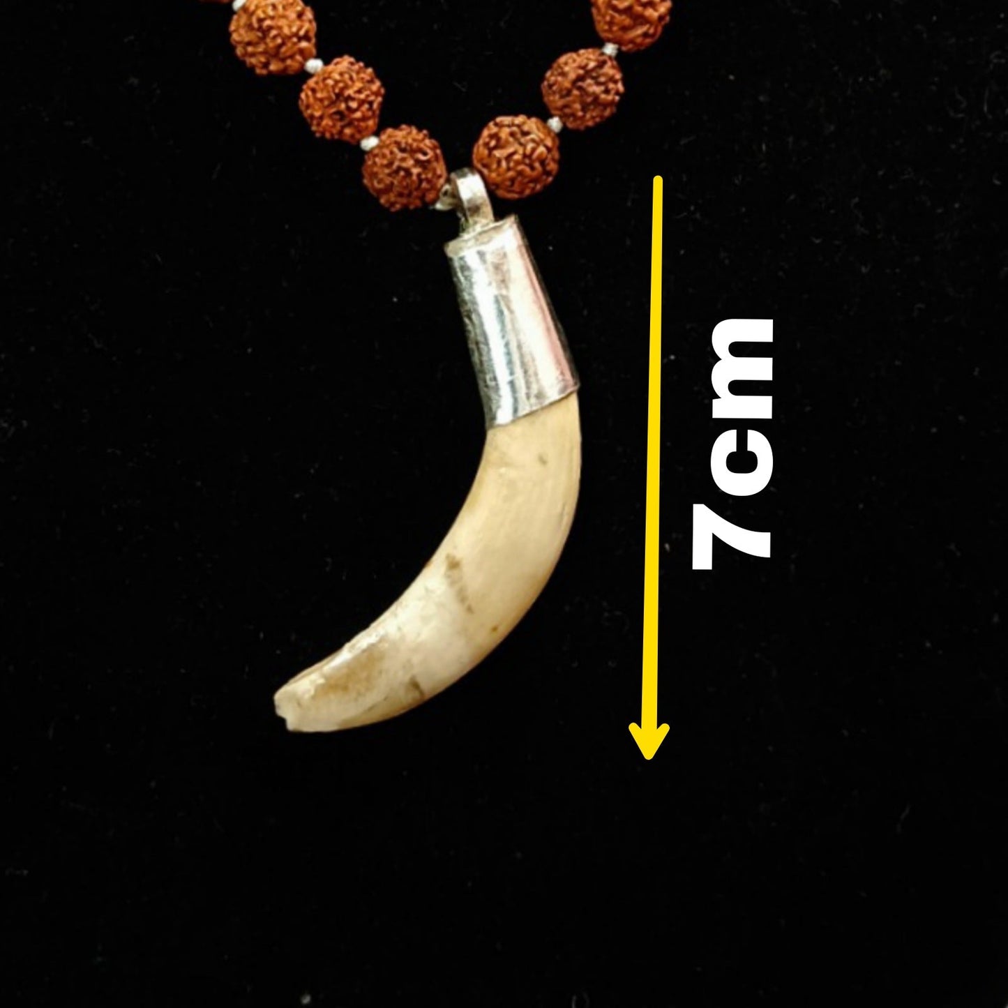 Shukar Dant Energized in Silver Locket | Lab Certified |