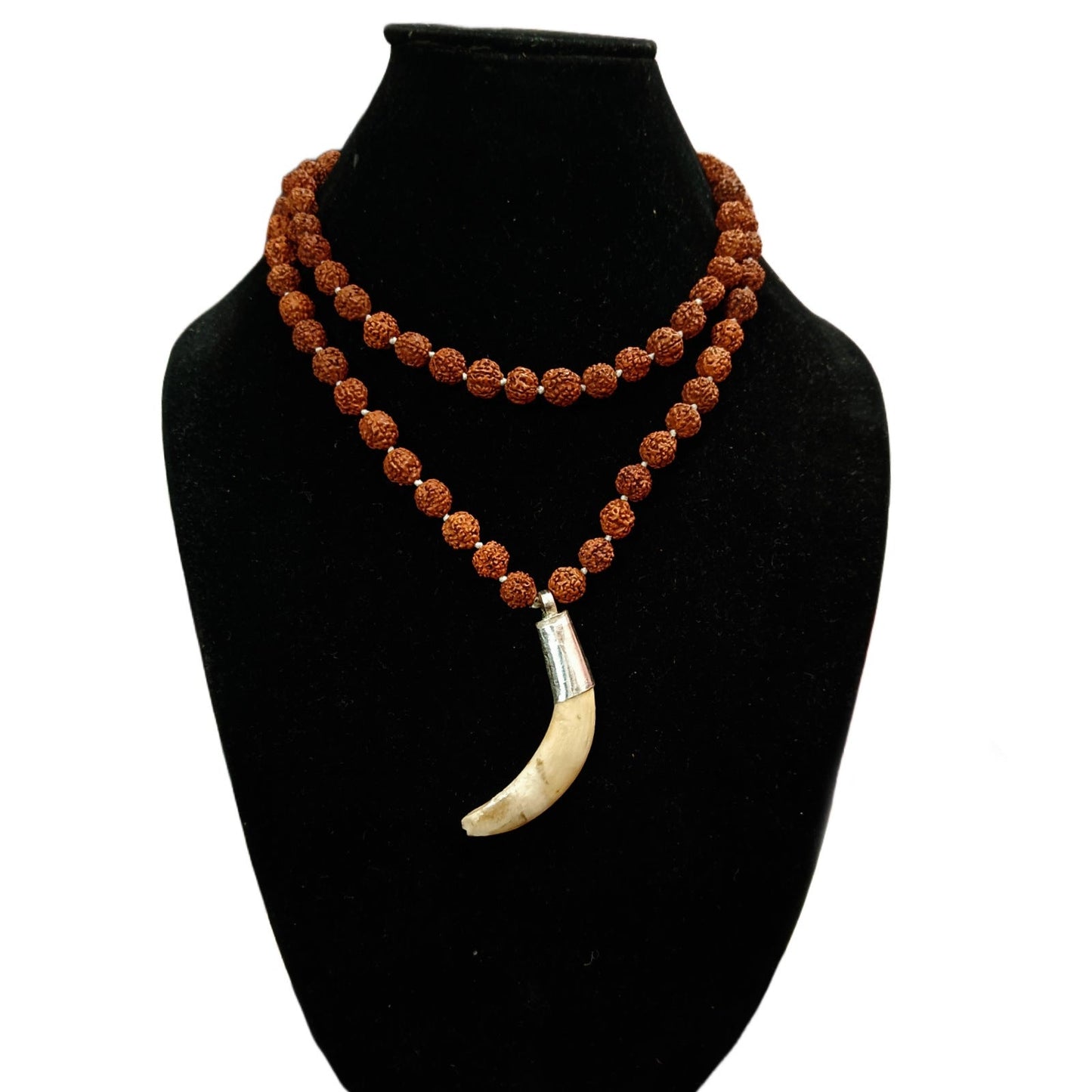 Shukar Dant Energized in Silver Locket | Lab Certified |