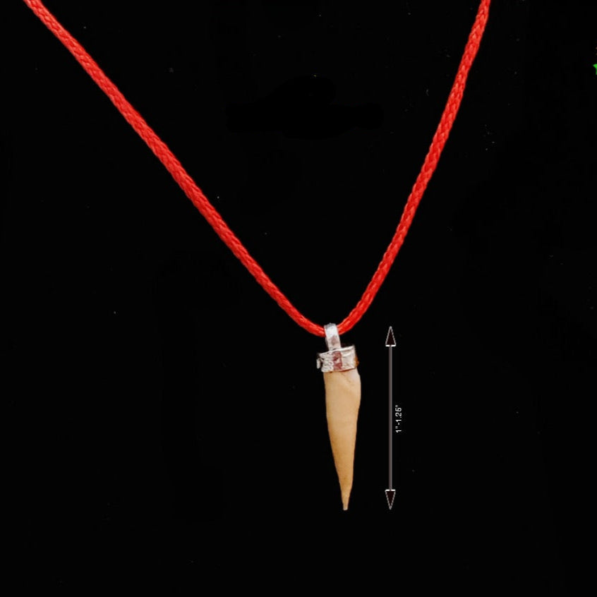 Shukar Dant Energized in Silver Locket | Lab Certified |