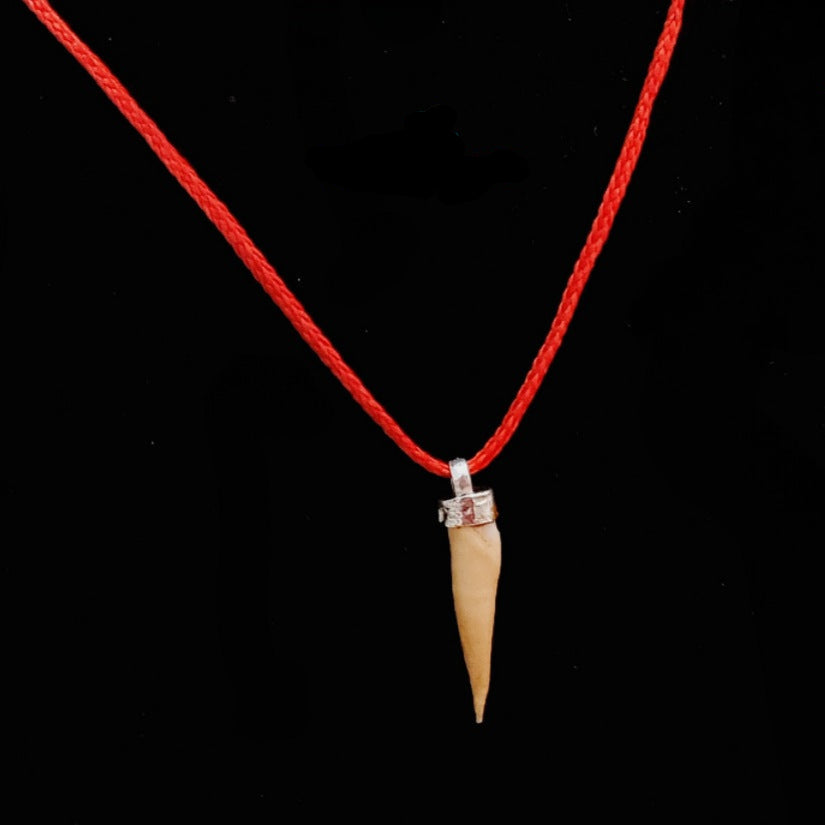 Shukar Dant Energized in Silver Locket | Lab Certified |