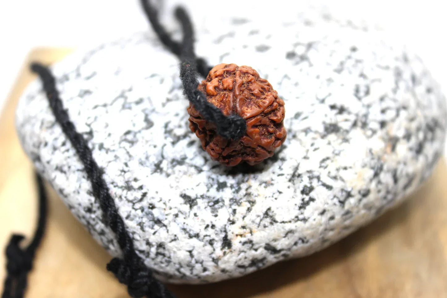 Panchmukhi Rudraksha, 5 Mukhi Nepalese Collector Rudraksha Bead Adjustable Cord, Spiritual Gifts, Five Faced Rudraksha Seed, Mahadeva Shiva